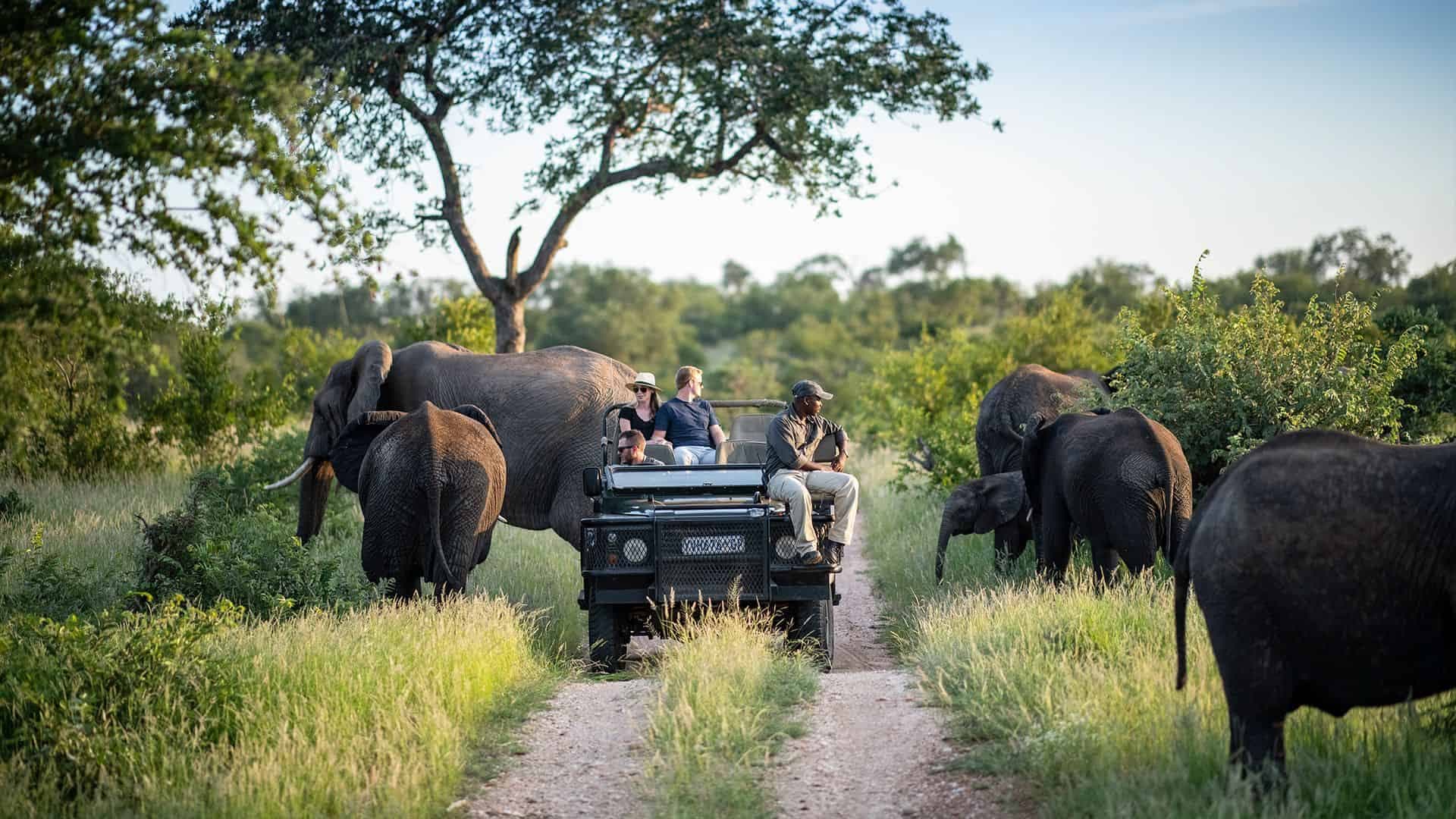 Kruger National Park in South Africa